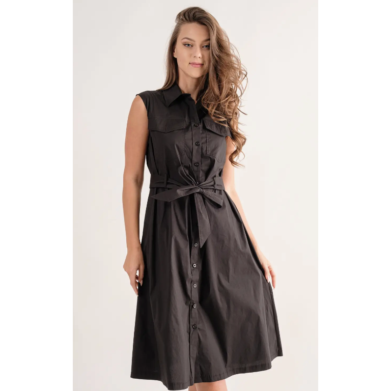 The Paige Black Sleeveless A-Line Dress