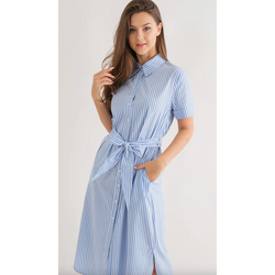 The Shannon Blue Striped Sleeveless A-Line Dress