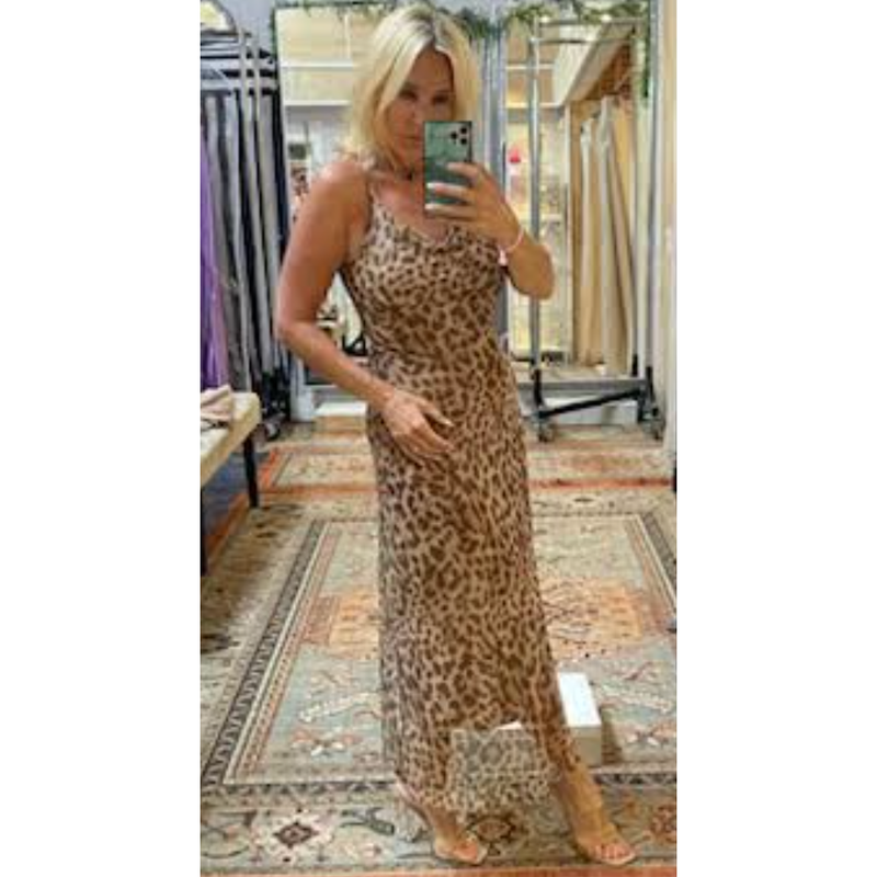 The Dara Leopard Print Mesh Maxi Dress