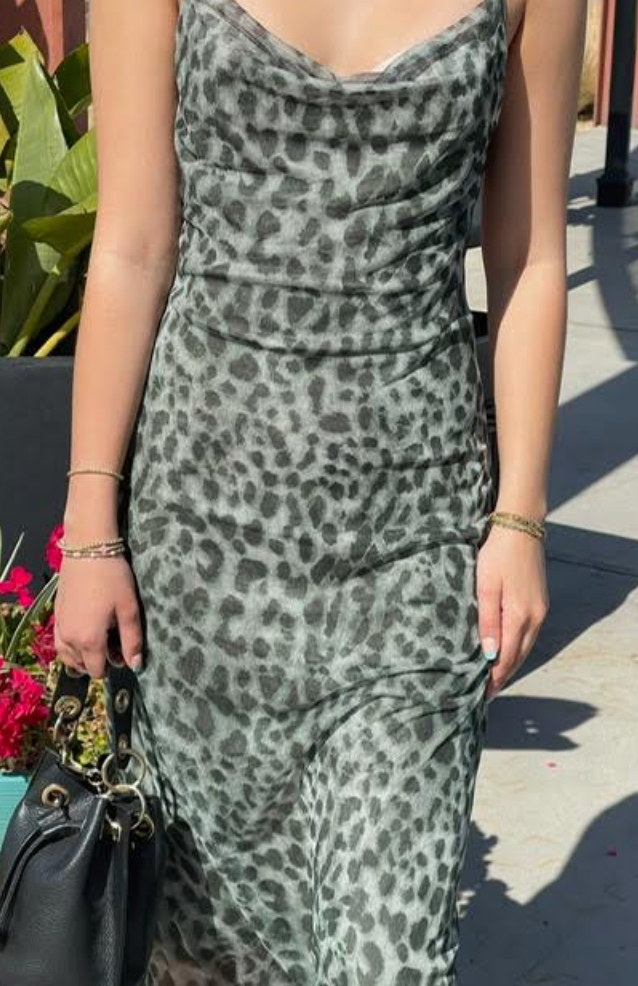 The Dara Moss Green Leopard Print Mesh Maxi Dress