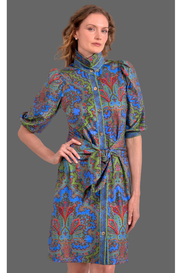 The Swagger Multi Color Paisley Dress