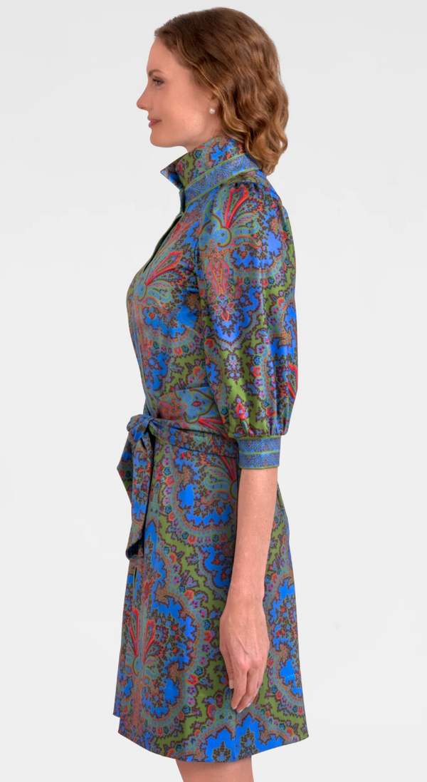 The Swagger Multi Color Paisley Dress