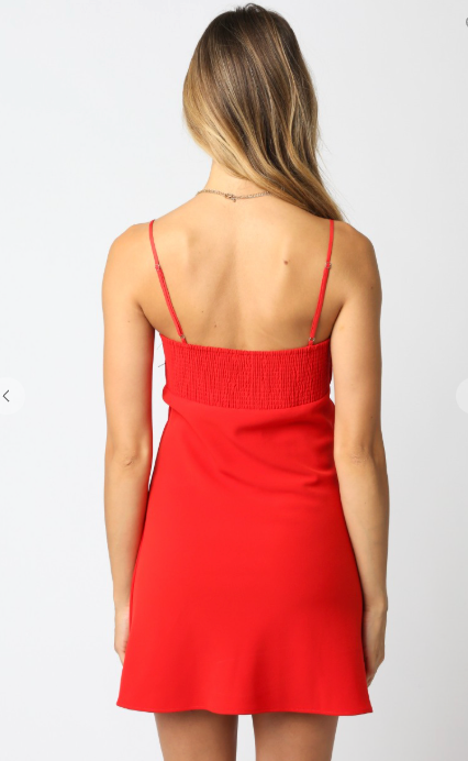 The Andie Red Mini Dress