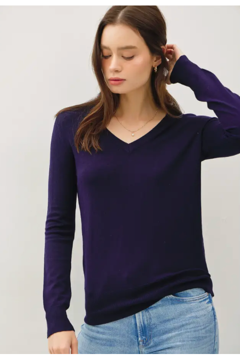 The Sadie Navy V-Neck Sweater
